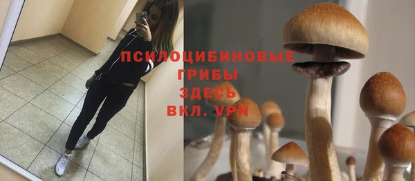 молекула духа Баксан