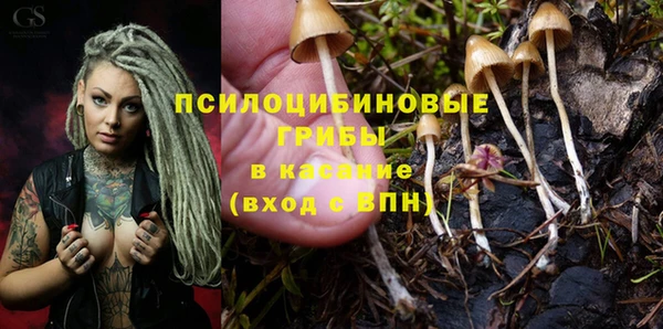 молекула духа Баксан