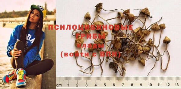 спайс Новосибирск