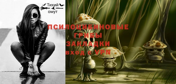 молекула духа Баксан